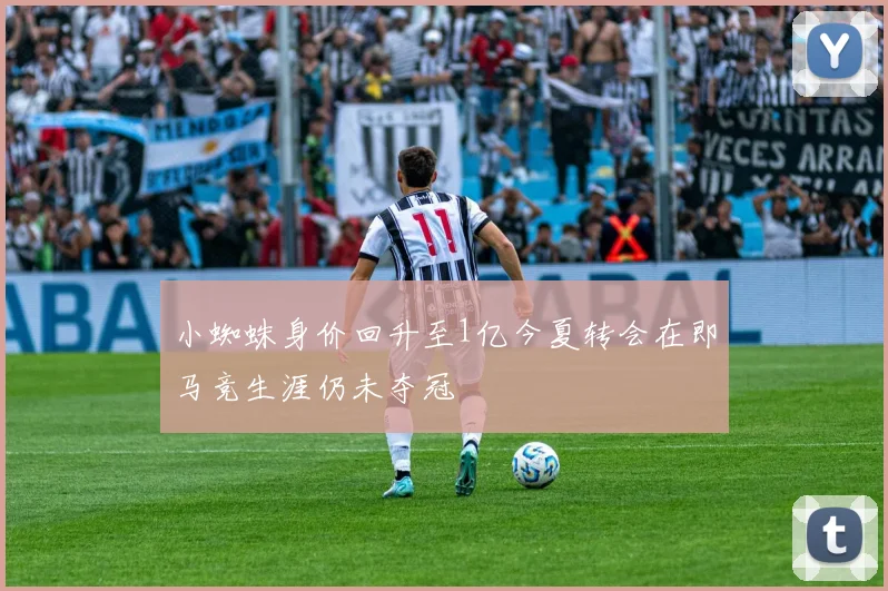 小蜘蛛身价回升至1亿今夏转会在即马竞生涯仍未夺冠