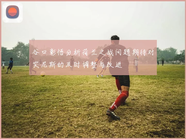 谷口彰悟分析荷兰之战问题期待对突尼斯的及时调整与改进
